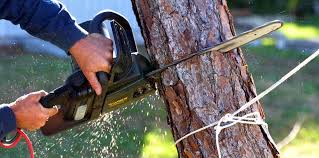 Best Storm Damage Tree Cleanup  in Kiawah Island, SC